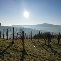 Stradner Kogel - Die höchste Erhebung der Südoststeiermark