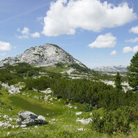 vor uns der Widerkarkogel