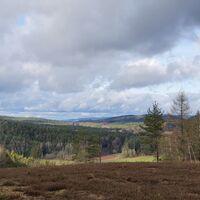 NSG Görsdorfer Heide