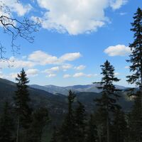 Rohrbachgraben -- Bodenwiese auf der Gahns