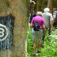 Wandern auf dem Bestwiger Panoramaweg