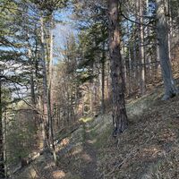 Schön eben gehts weiter am Kaisersteig