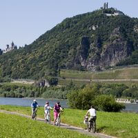 Der Rhein lockt auch viele Radfahrer an seine Ufer - hier vor der malerischen Kulisse des Drachenfelses.