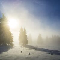 Sonnenaufgang am Feldberg