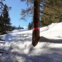 Schneeschuh Markierung
