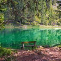 Grüner See