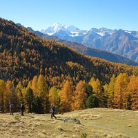 Auf dem Höhenweg Visperterminen Gspon, Blick auf das Weisshorn