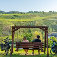 Genussradeln entlang des Mosel-Radwegs bei Erden