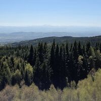 auf der Aussichtswarte