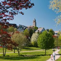 Lennepark in Schmallenberg