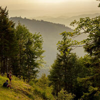 Wanderweg beim Tafelweg, Blick nach Westen Richtung Hörnleberg mit Hörnlebergkapelle, ganz im Hintergrund die Vogesen