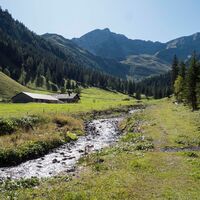 Alp Valüna in Steg