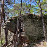 Kupferbergfelsen, Kamelkopf am Leininger Burgenweg