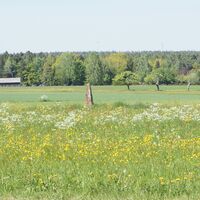 Wald, Felder und bunte Wiesen