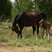 Rando de la Fontanaride0009 @CDRP34