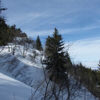 Schneeschuhtrail-Panoramawegtrail