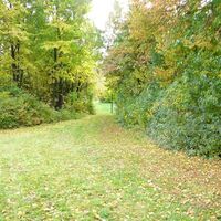 Waldweg_Vorau_Oststeiermark