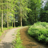 Gemütlicher Wegverlauf am Heidenwuhr.