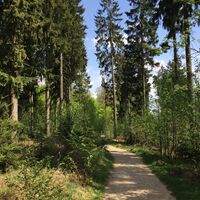 Naturerlebnispfad Hohe Bracht