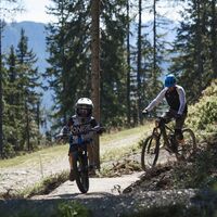 Mountainbiken in der Skill Area