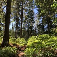 Weg nach dem Sulzkar