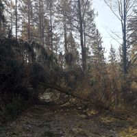 Wanderung rund um Burglemnitz