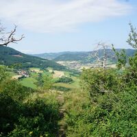 Jauerling-Runde 07: Mühldorf-Spitz