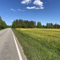 Tour de Nuas, Vuokatti