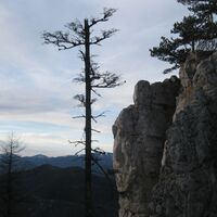 Dürre Wand, Plattenstein u. Gauermannhütte