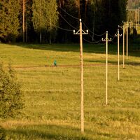 Strommasten in der Feldlandschaft
