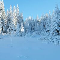 Schneestangen ab dem Platzl
