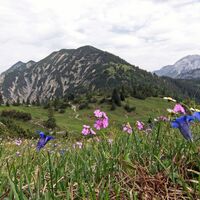 Blick zurück zur Blaubergschneid
