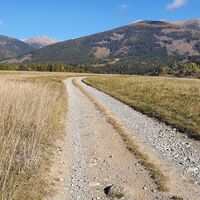 Die flache Ebene vor Beginn des Nadelwaldes