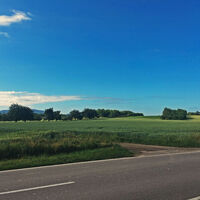 Blick über die Felder im Rheintal