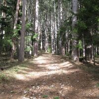 Payerbach - Bodenwiese