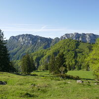 Panorama am Herrentisch
