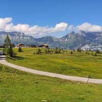 Prodalp - Panüöl - Fursch