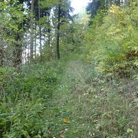 Aufstieg am Kaisersteig