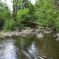 Die Orke bei Medelon