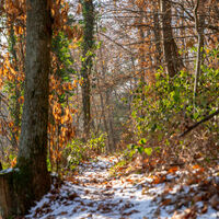 Wandern Pfälzer Hüttentour im Winter