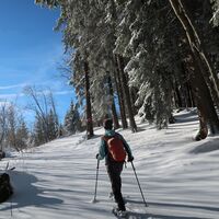 Nach dem Aufstieg vom Schwarzenbühl auf dem Panoramatrail
