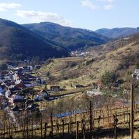 Tiefblick nach Senftenberg