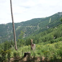 am Aufstiegssteig