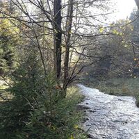 In den Tälern von Dreba und Plothenbach