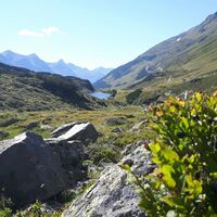 Emil-Roth-Weg, im Hintergrund der Langsee