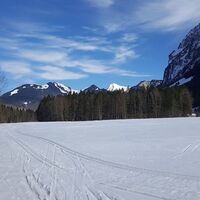 Winterwandern in Mellau