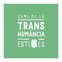 Logo Katze