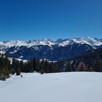 Winterliche Landschaft