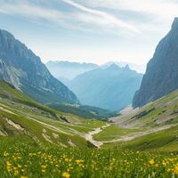Wanderung zur Gehrenspitze im Sommer_Blick ins Puittal mit Blumenwiese.jpg