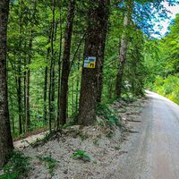 Variante 1: WP 40703-0009 Rettenbachtal, km27,4 Seehöhe: 580m,  Distanz 4km nach Bad Ischl